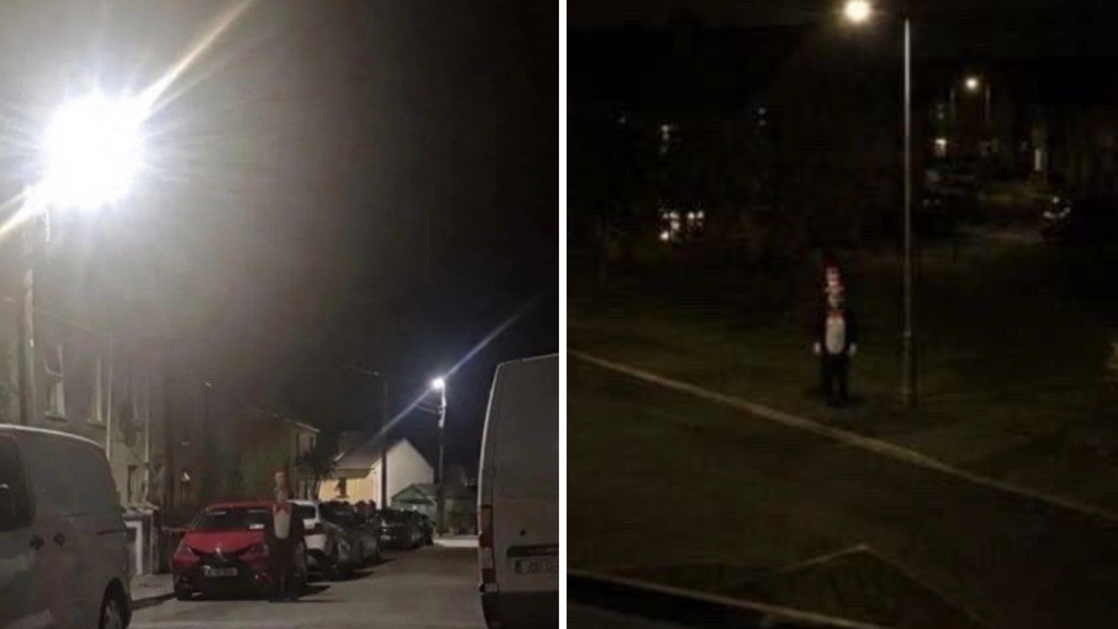 Wexford Gardaí confirm viral ‘Cat in the Hat’ sightings are AI-generated